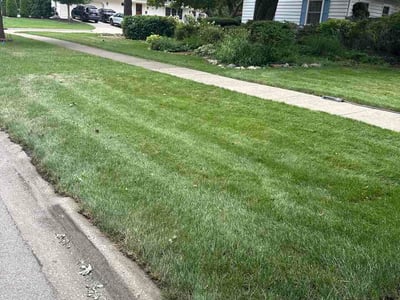 Lawn Care service in Naperville, 60540