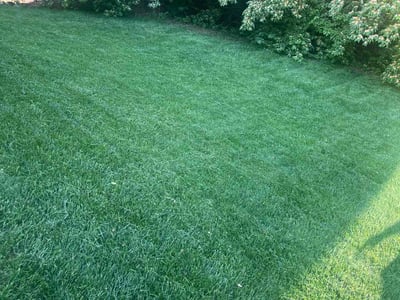 Lawn Care service in Martinsville, 46151