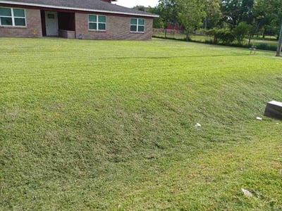 Lawn Care service in La Marque, 77568