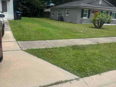 Lawn Care service in Eustis, 32726
