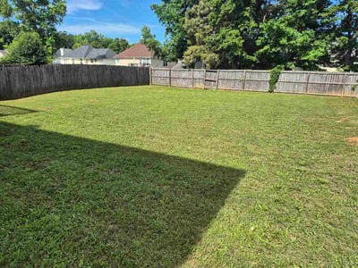 Lawn Care service in Hampton, 30228