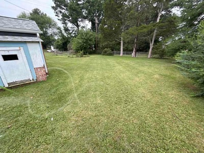 Lawn Care service in Henrico, 23294
