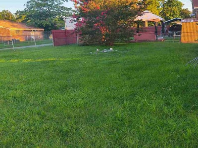 Lawn Care service in Yorktown, 23690