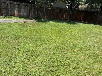 Lawn Care service in Shavano Park, 78231