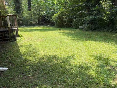 Lawn Care service in Jonesboro, 30236