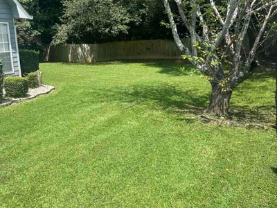 Lawn Care service in Jonesboro, 30236
