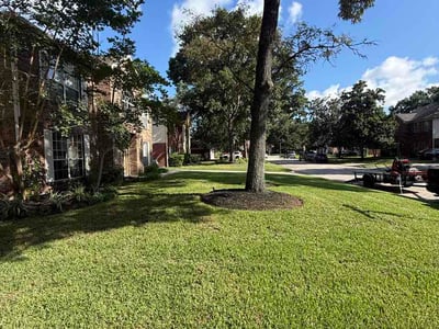 Lawn Care service in Rosenberg, 77471
