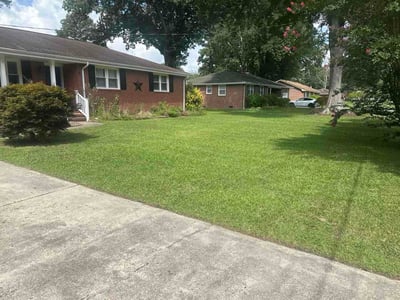 Lawn Care service in Hayes, 23072
