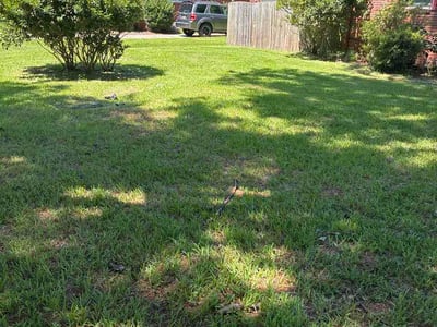 Lawn Care service in Hayes, 23072