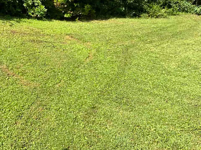 Lawn Care service in Acworth, 30101