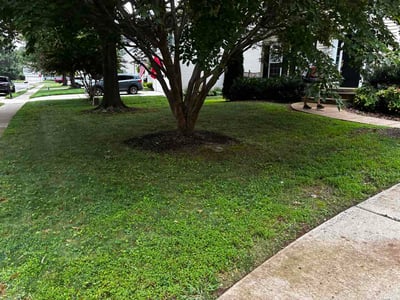 Lawn Care service in Warrenton, 20186