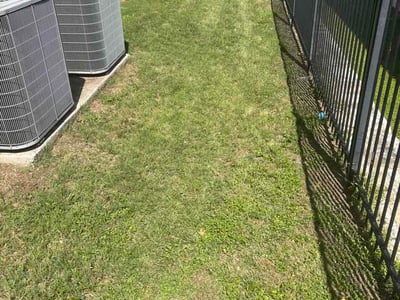 Lawn Care service in Stone Oak, 78258