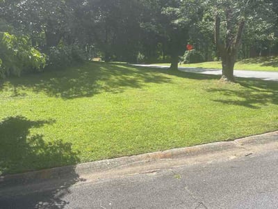 Lawn Care service in Acworth, 30101