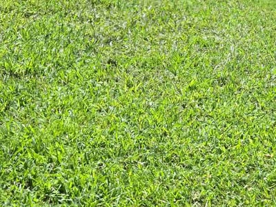 Lawn Care service in El Dorado, 67337