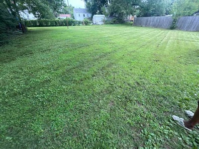 Lawn Care service in Hopewell, 23860