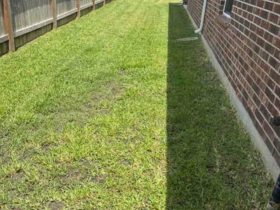 Lawn Care service in Bellaire, 77401