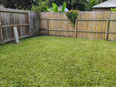 Lawn Care service in Bellaire, 77401