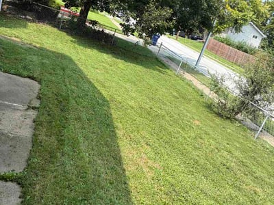 Lawn Care service in Lehi, 84043
