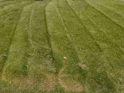 Lawn Care service in Zionsville, 46077