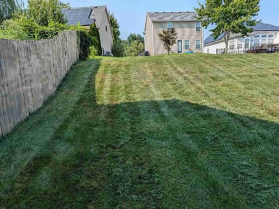 Lawn Care service in Middletown, 40243