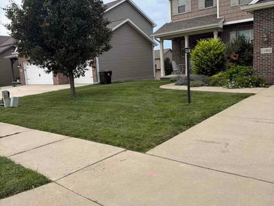 Lawn Care service in Mundelein, 60060