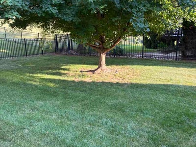 Lawn Care service in Mundelein, 60060