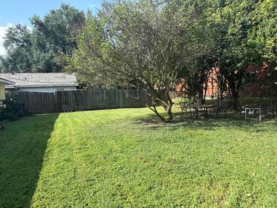 Lawn Care service in Deer Park, 77536