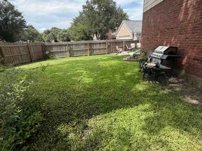 Lawn Care service in Schertz, 78154