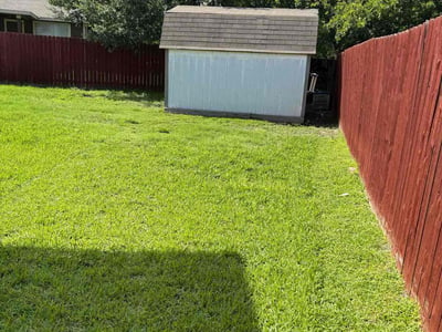 Lawn Care service in Schertz, 78154