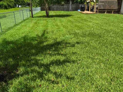 Lawn Care service in Lake Jackson, 77566