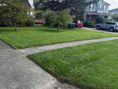 Lawn Care service in Mount Washington, 40047