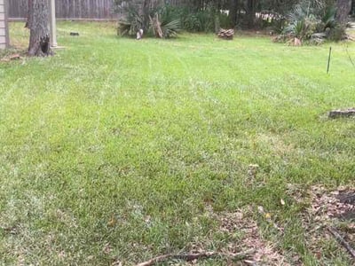Lawn Care service in The Woodlands, 77380