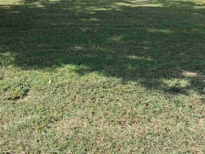 Lawn Care service in Universal City, 78148