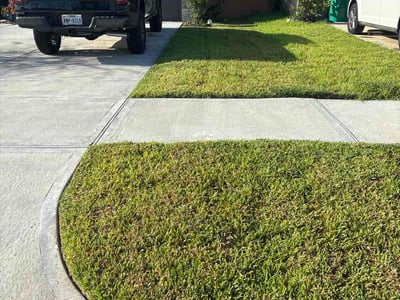 Lawn Care service in Rosharon, 77583