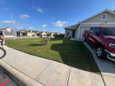 Lawn Care service in Universal City, 78148