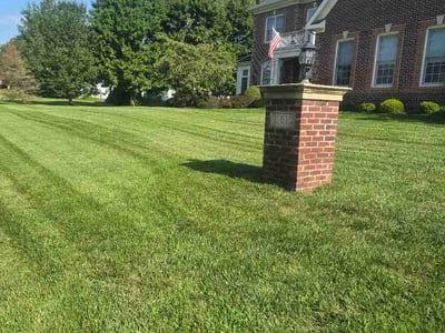 Lawn Care service in Herndon, 20170