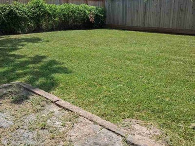 Lawn Care service in The Woodlands, 77380