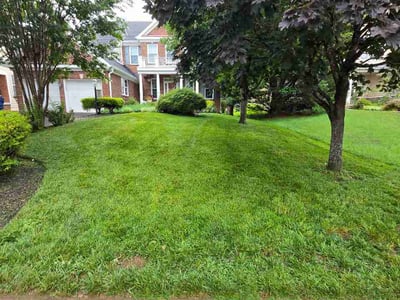 Lawn Care service in Herndon, 20170