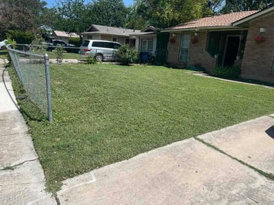 Lawn Care service in Kirby, 78219