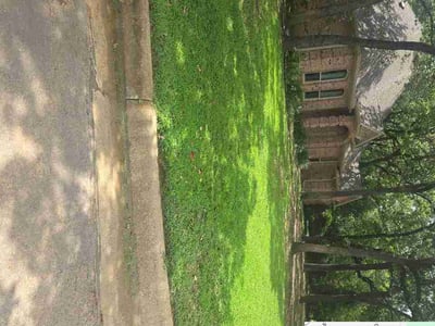 Lawn Care service in Burleson, 76028