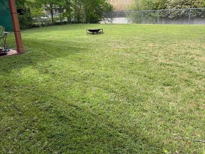 Lawn Care service in Watauga, 76148
