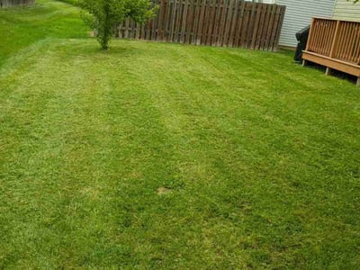 Lawn Care service in Noblesville, 46060
