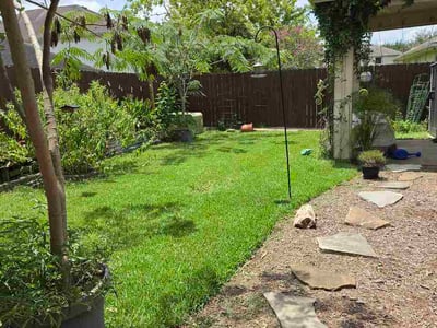 Lawn Care service in Sugar Land, 77479