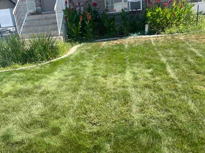 Lawn Care service in Roy, 84067