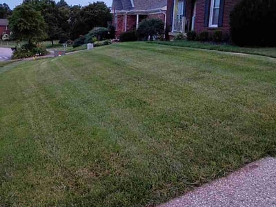 Lawn Care service in Jeffersontown, 40299