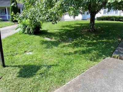 Lawn Care service in Jeffersontown, 40299