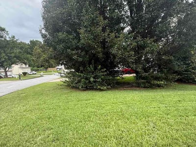 Lawn Care service in Rex, 30273