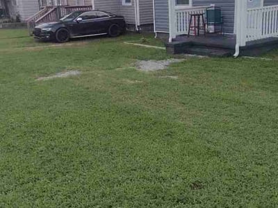 Lawn Care service in Petersburg, 23803