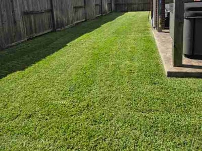 Lawn Care service in Pasadena, 77506