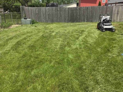 Lawn Care service in Des Plaines, 60016